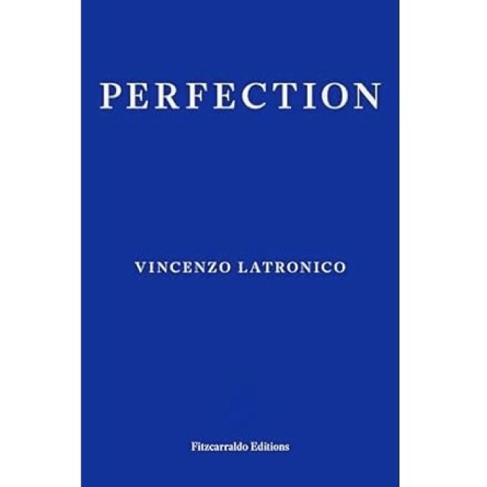 Perfection book cover 2.jpg
